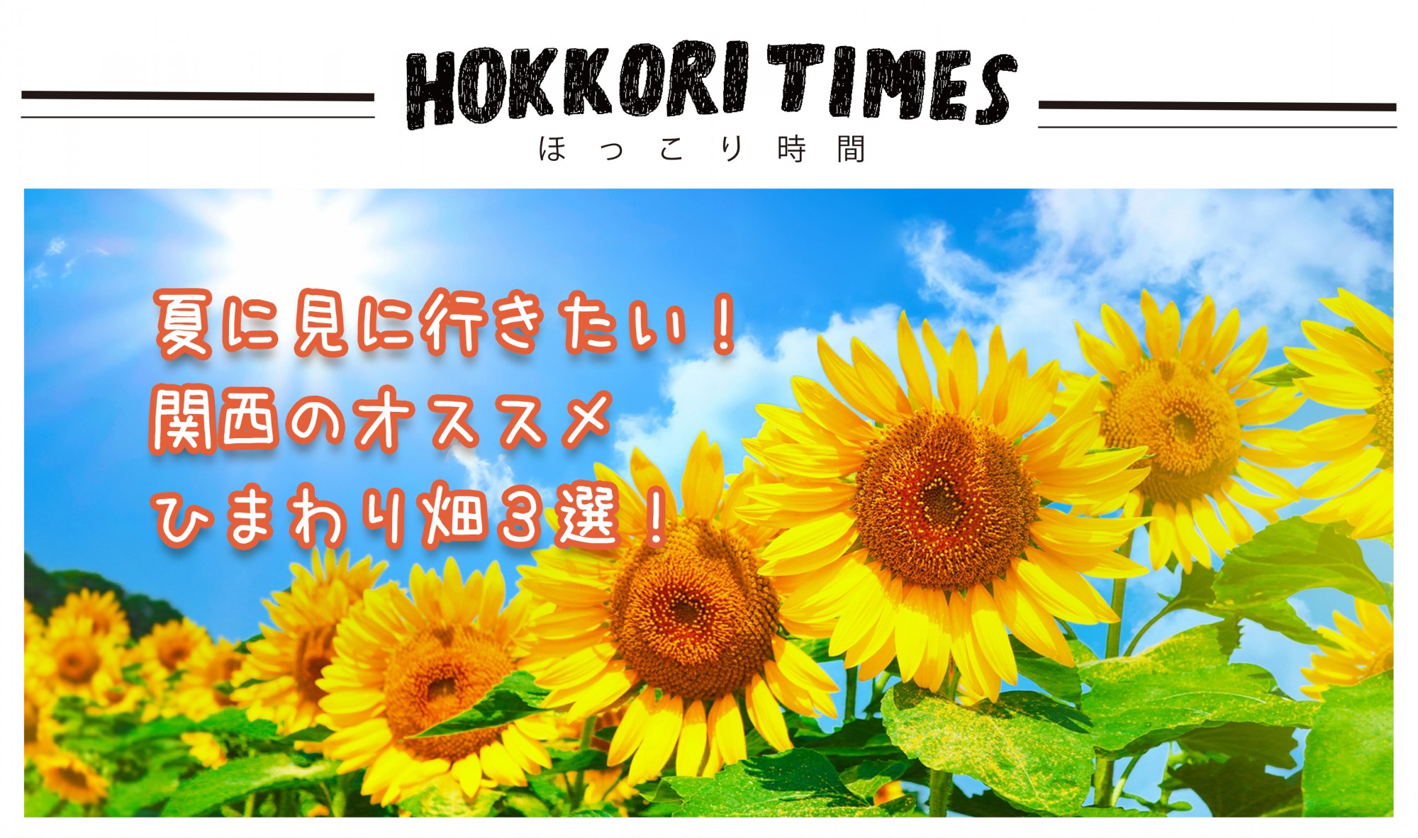 夏に見に行きたい！関西のオススメひまわり畑３選！