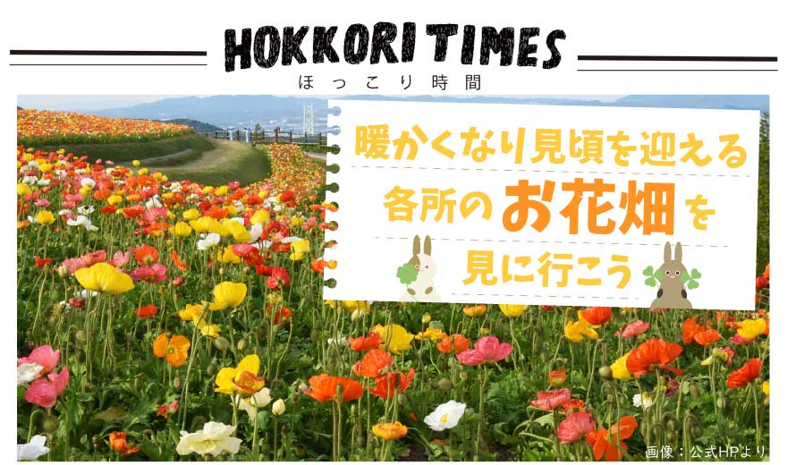 暖かくなり見頃を迎える各所のお花畑を見に行こう！🌷🌼