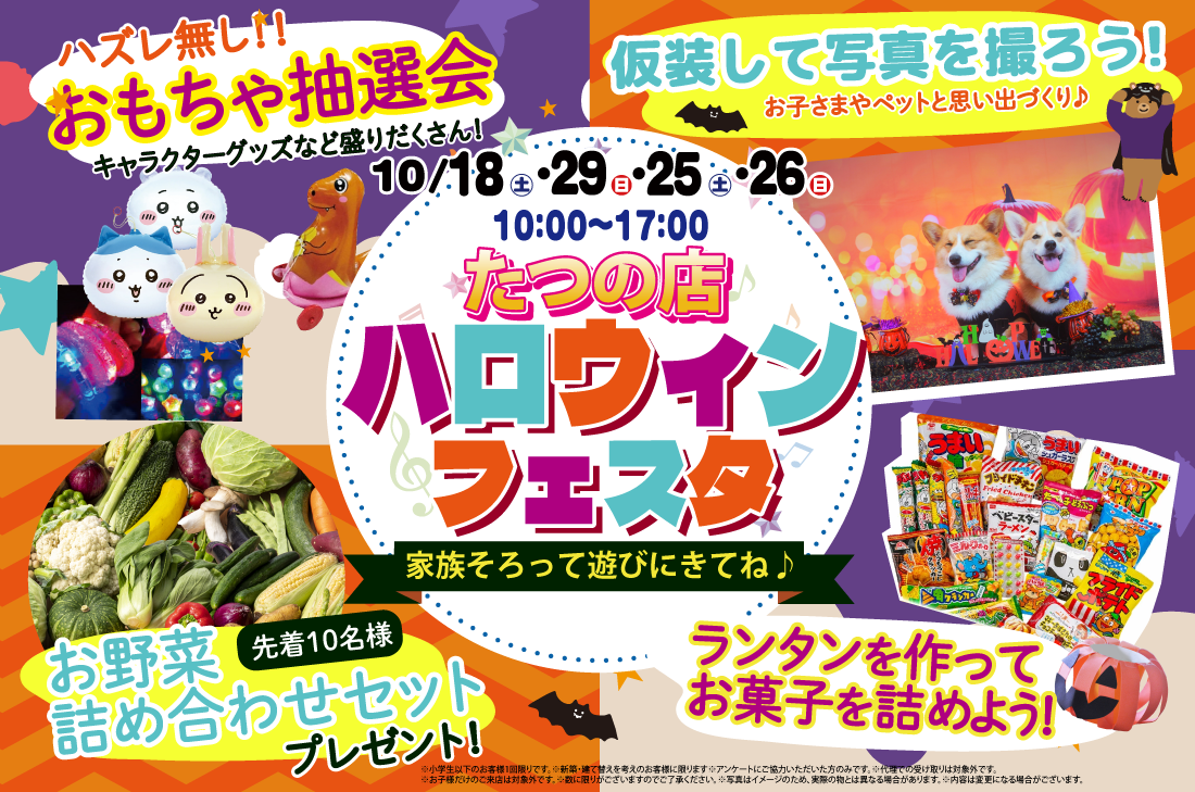 【イベント開催】たつの展示場 ハロウィンフェスタ2025🎃