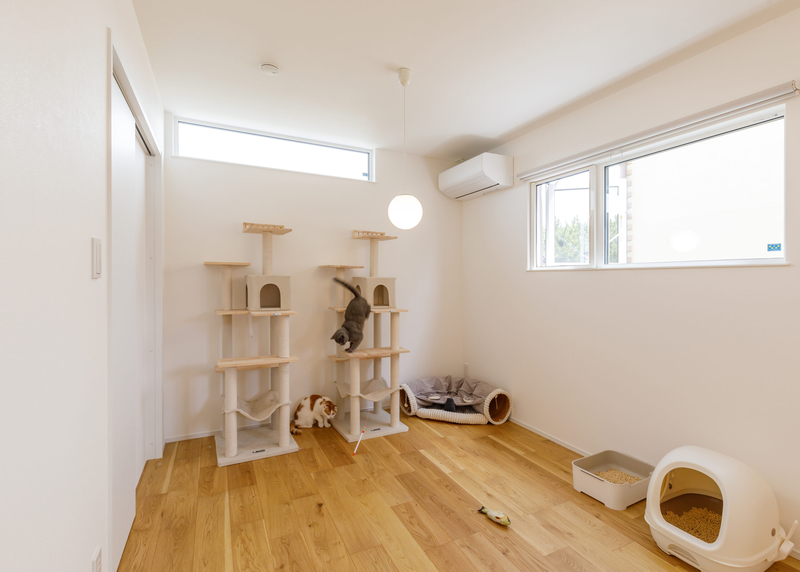 猫ちゃん専用ルーム