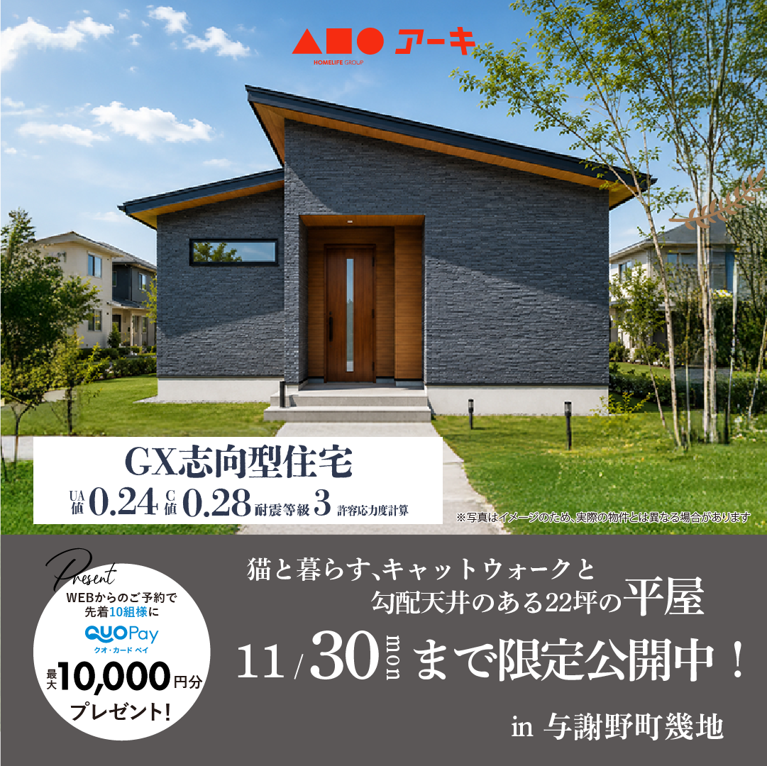猫と暮らす、キャットウォークと勾配天井のある22坪の平屋  　